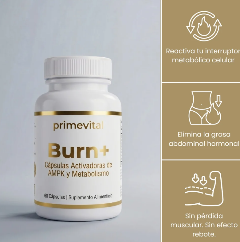 metabolismo